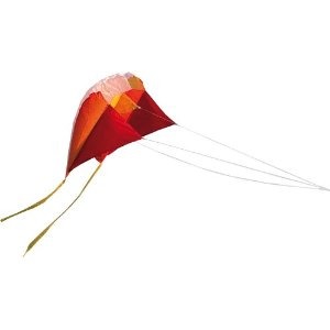 Parafoil Easy Kite
