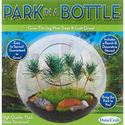 Park in a Bottle Glass Terrarium