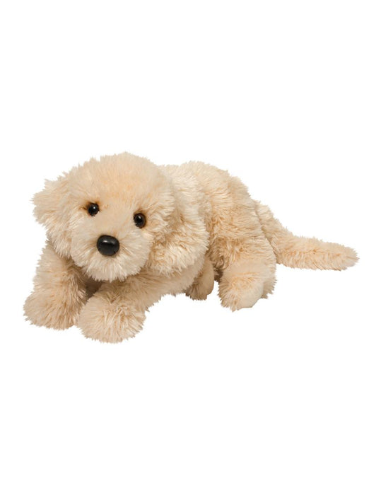Peanut Carmel Labradoodle