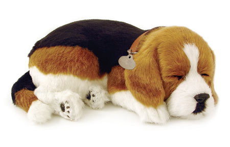 Perfect Petzzz Beagle Dog