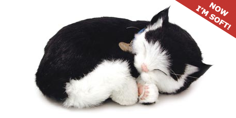 Perfect Petzzz Black and White Shorthair Cat