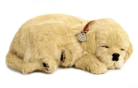 Perfect Petzzz Golden Retriever Dog