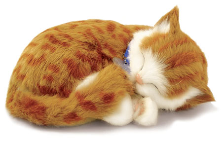 Perfect Petzzz Orange Tabby Cat