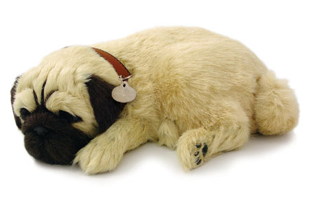 Perfect Petzzz Pug Dog