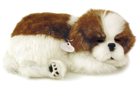 Perfect Petzzz Shih Tzu Dog
