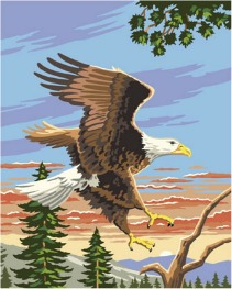 Plaid ® Paint by Number - Eagle