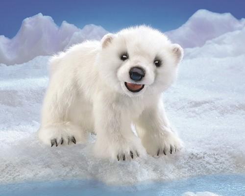 Polar Bear Cub Puppet