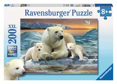 Polar Bears Puzzle