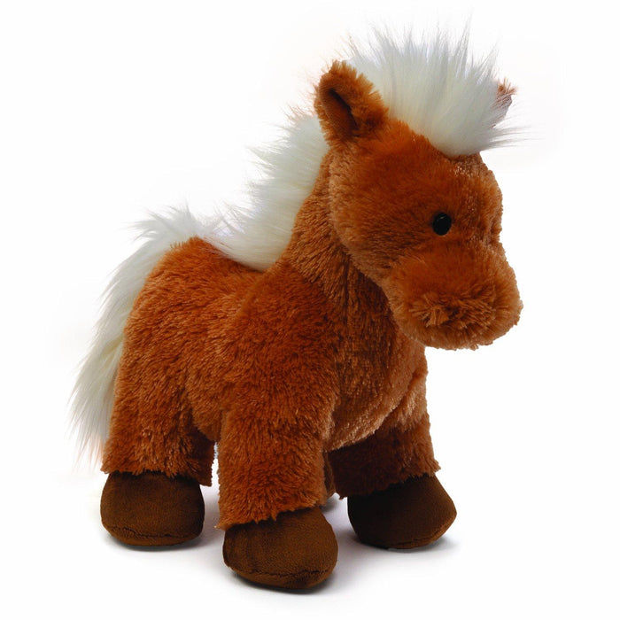 Pony Boy Shetland Pony