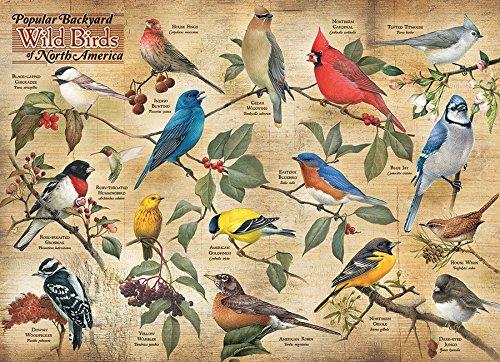 Popular Backyard Wild Birds of N.A. 1000 pc puzzle