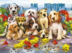 Posing Pups 200 pc