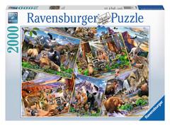Postcard Park 2000pcs Puzzle