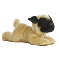 Pug - Small