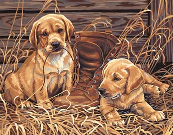 Puppies' Plaything Paint By Numbers 14x11