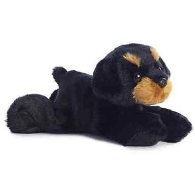 Raina Black Dog