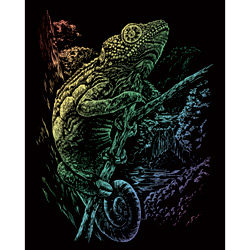 Rainbow Engraving Chameleon