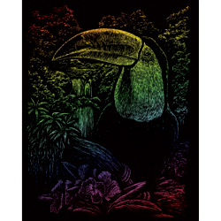 Rainbow Engraving Toucan