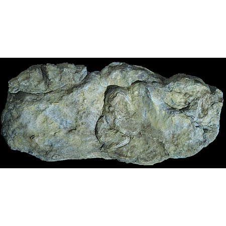 Rock Mold, Washed Rock