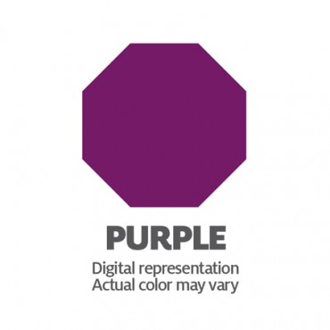 SOLID PURPLE AEROSOL PAINT  