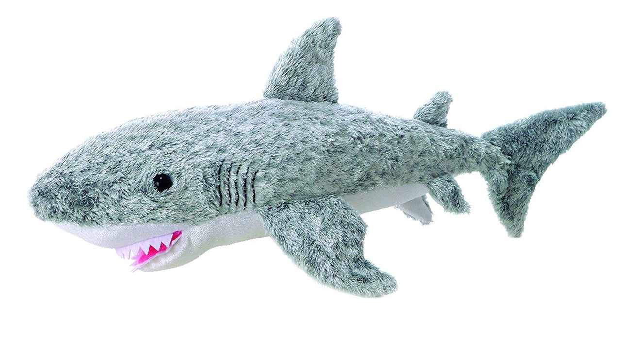 Samuel Shark