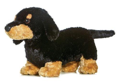 Sausage Too Flopsie Dachshund DOg