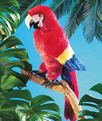 Scarlet Macaw Puppet