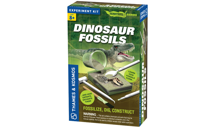 Science Experiments:  Dinosaur Fossil