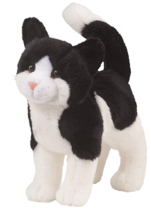 Scooter Black and White Cat