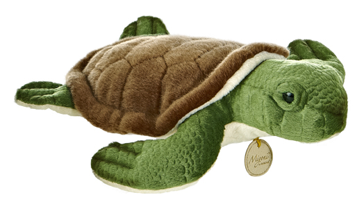 Sea Turtle