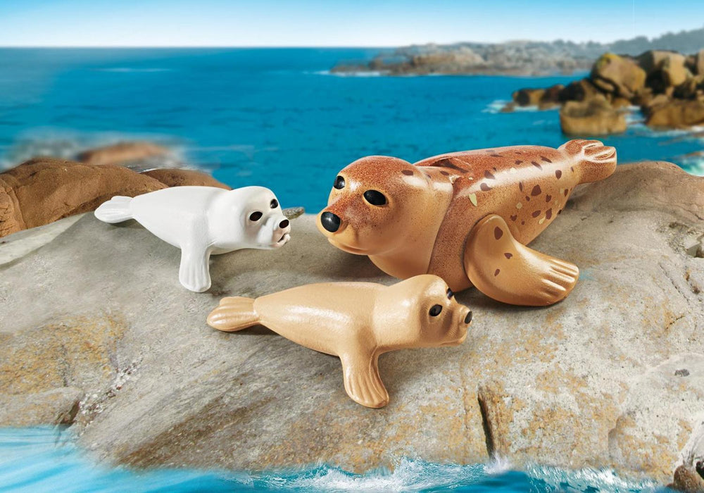 Seal with Pups