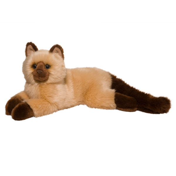 Sebastian the Himalyan Cat
