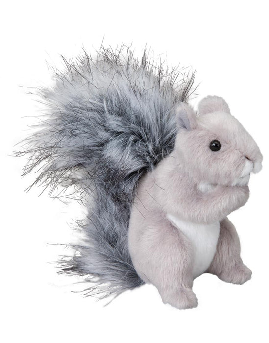 Shasta Squirrel