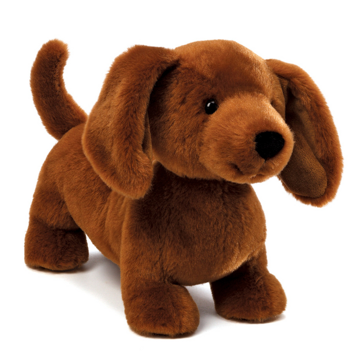 Shorty Dachschund