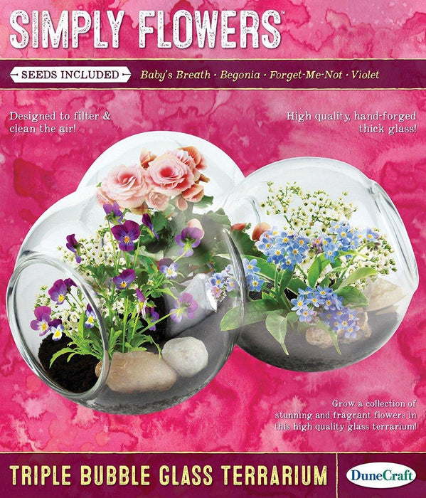 Simply Flowers Triple Bubble Glass Terrarium