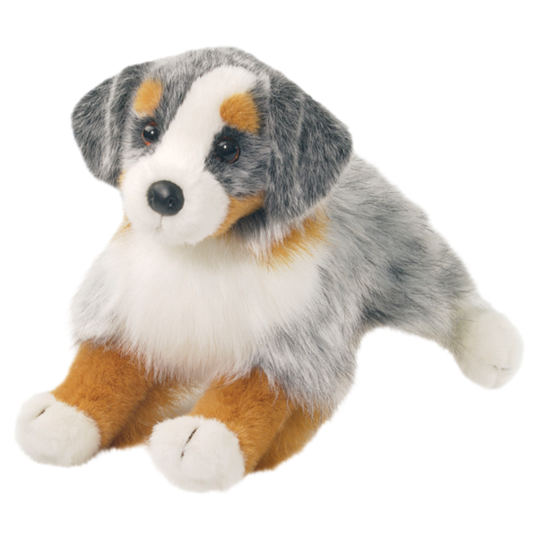 Sinclair Australian Shepherd Dog
