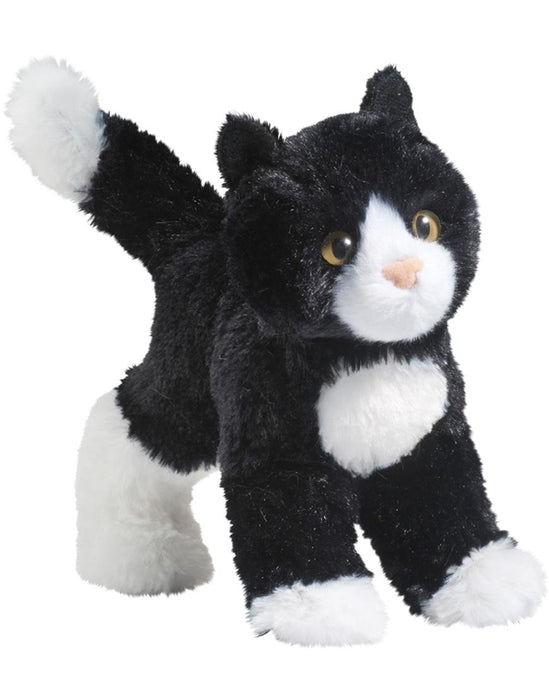 Snippy Black & white Cat