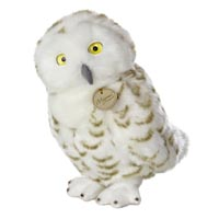 Snowy Owl