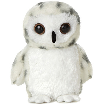 Snowy Owl