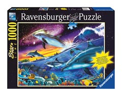 Splendid Dolphins 1000 pc