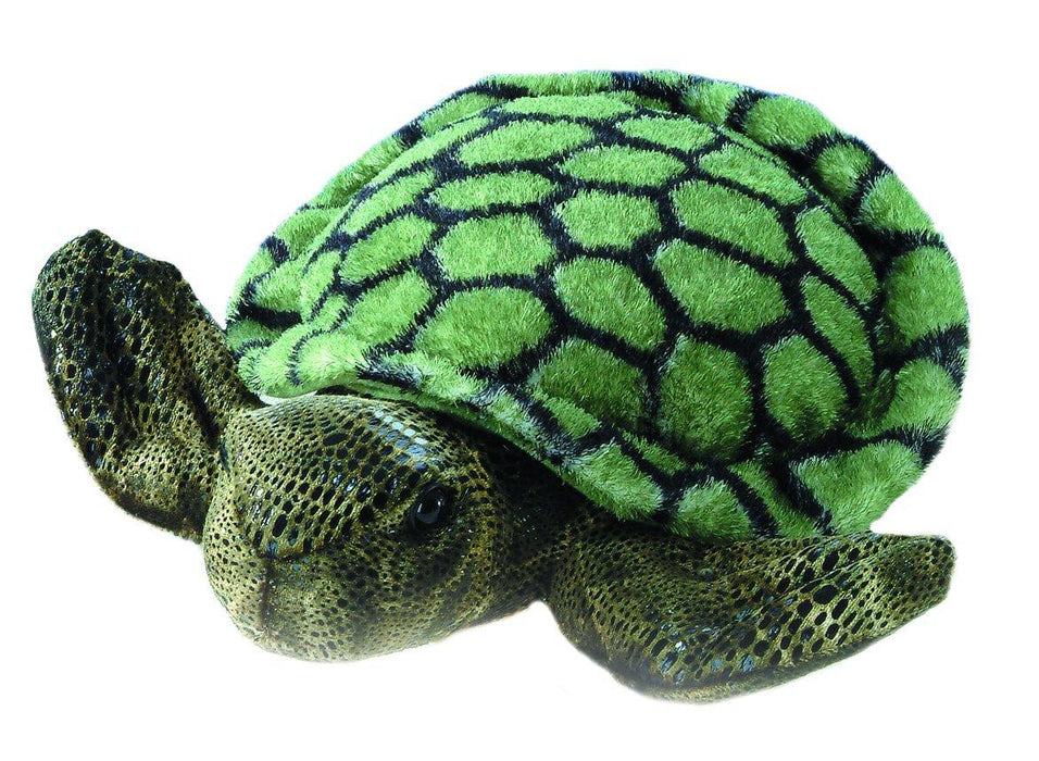 Splish-Splash Turtle