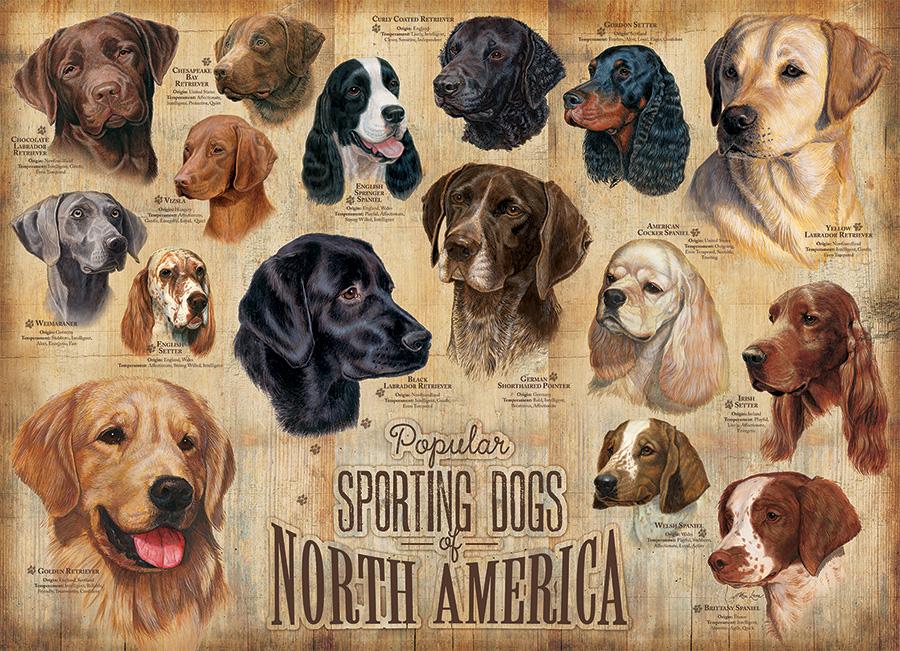 Sporting Dogs 1000pc Puzzle