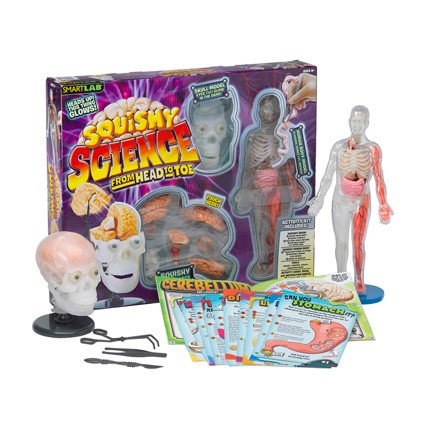 Squishy Science Lab by Smart Lab