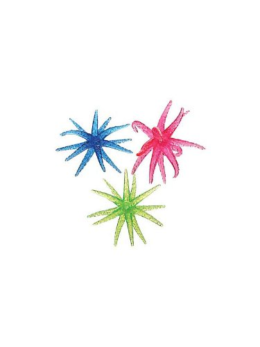 Sticky Star Fish Wall Toy — Adventure Hobbies & Toys