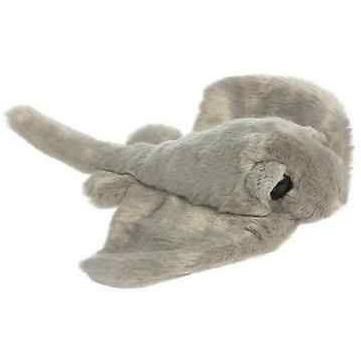 Sting Ray