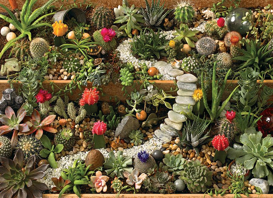 Succulent Garden 1000pc puzzle