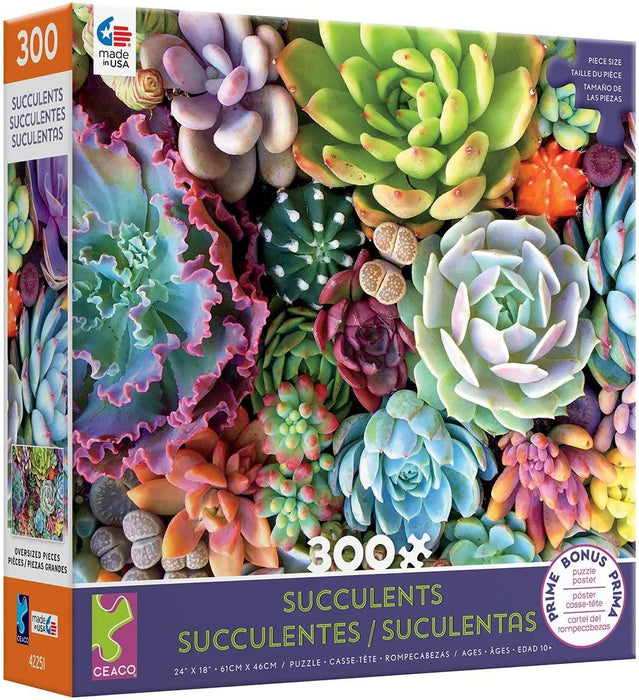 Succulents 300pc -Purple