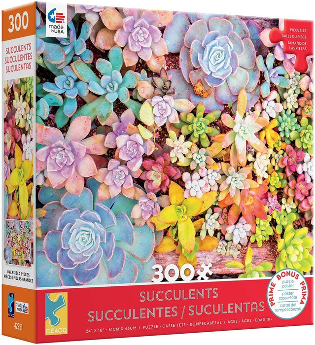 Succulents 300pc -Red