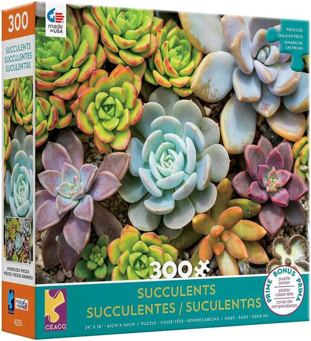 Succulents 300pc -Teal