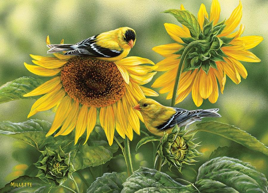 Sunflowers and Goldfinches 1000 pc puzzle