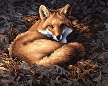 Sunlit Fox Paint By Numbers